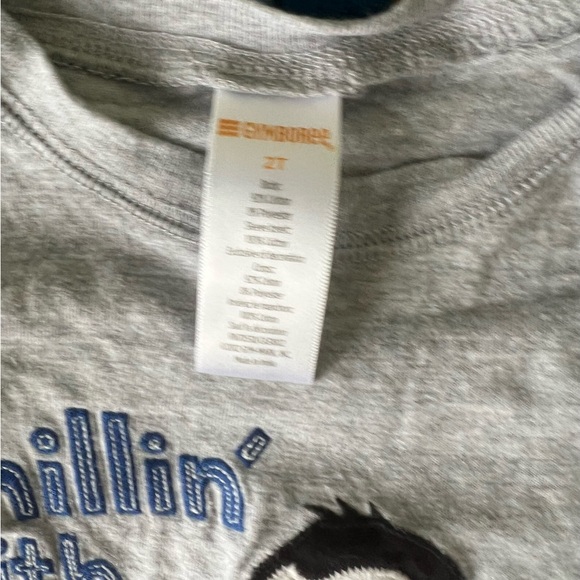 Gymboree Boys Cotton Long Sleeve Tee NEW NWT - Picture 3 of 3